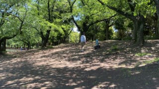公園で